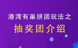 拼团港湾有巢 专注技术产品开发，打造互联网创新系统解决方案
